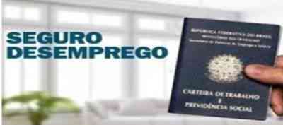 Imagem3