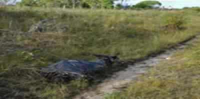 Imagem1