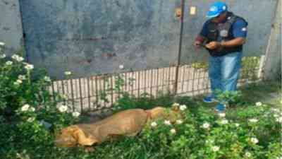 Imagem4