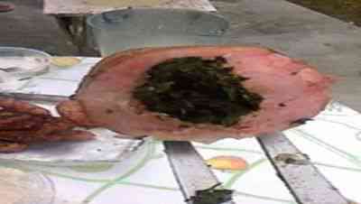 Imagem1