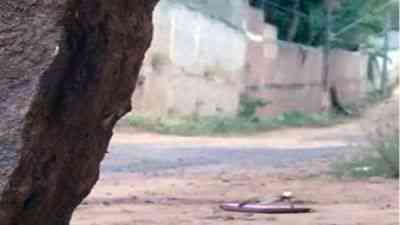 Ela morreu na frente da filha