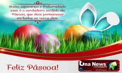 Imagem4