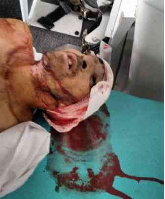 Imagem7