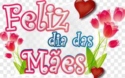 Imagem5