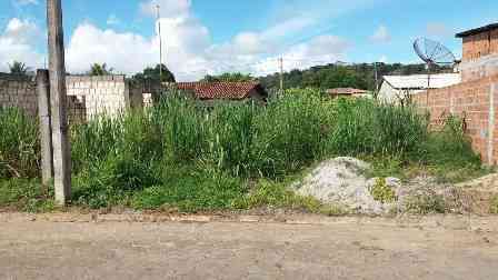 terreno 1