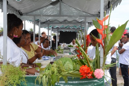 Agricultura familiar