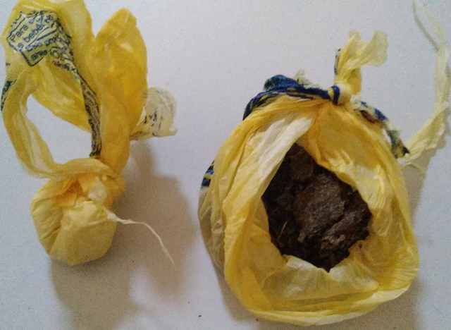 Canavieiras Canavieiras