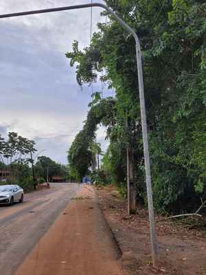 URGENTE: Árvore caída em rede elétrica colocando a vida das pessoas em perigo em Una; vídeo