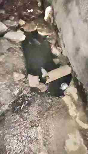 Esgoto a céu aberto em Una: moradores da Urbis denunciam descaso da Embasa há mais de 20 dias